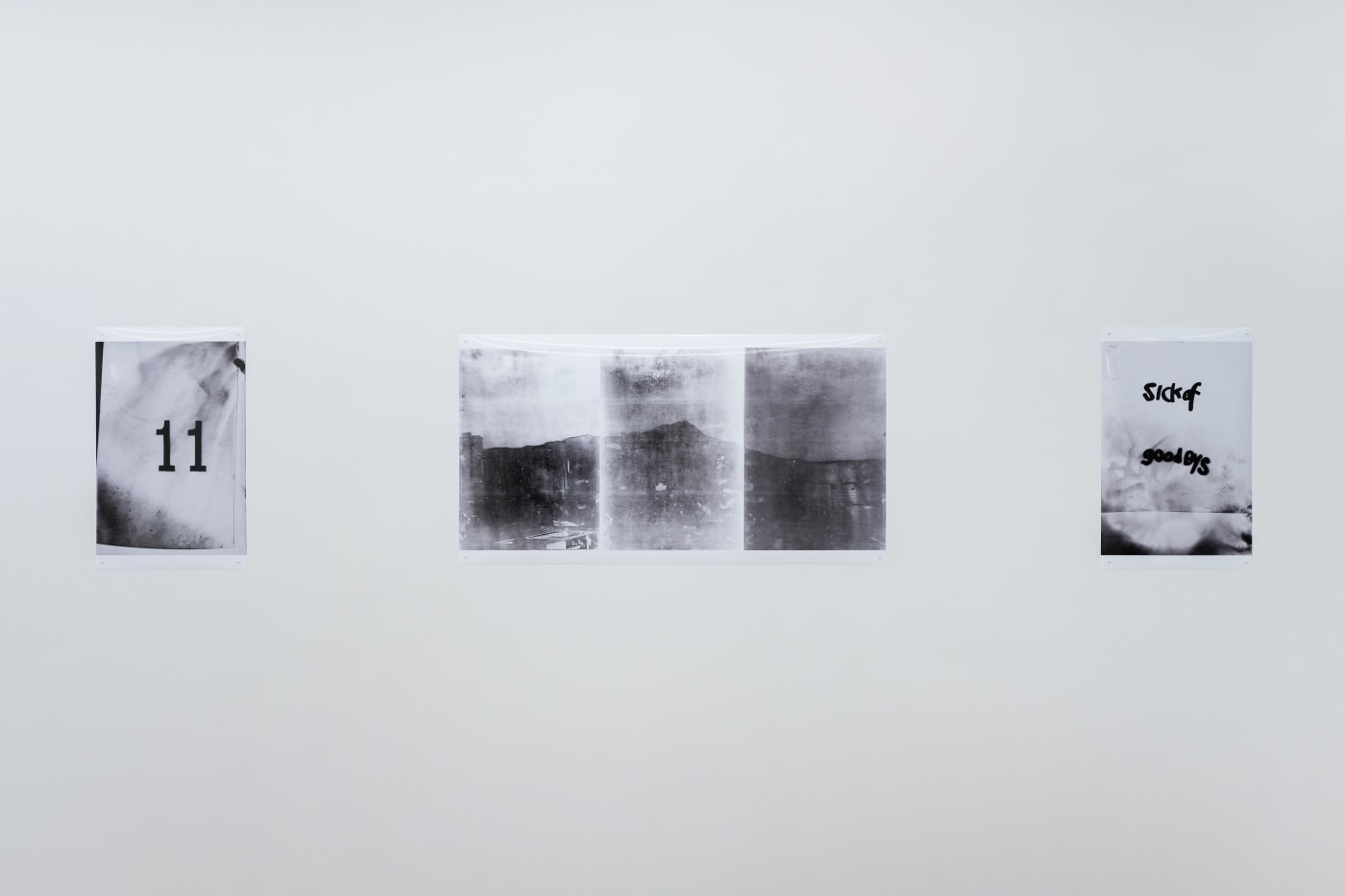TAKASHI HOMMA