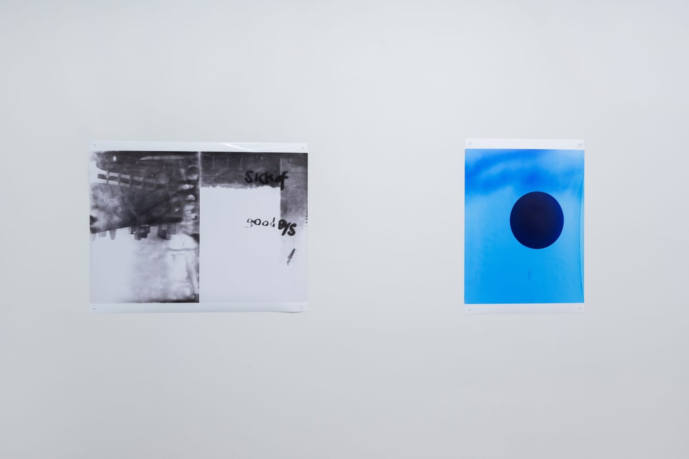 TAKASHI HOMMA