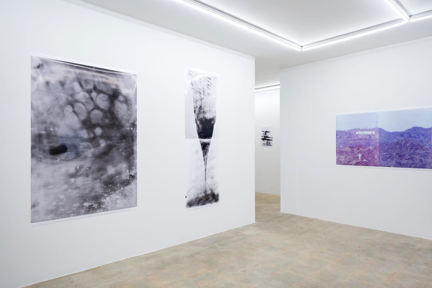 TAKASHI HOMMA