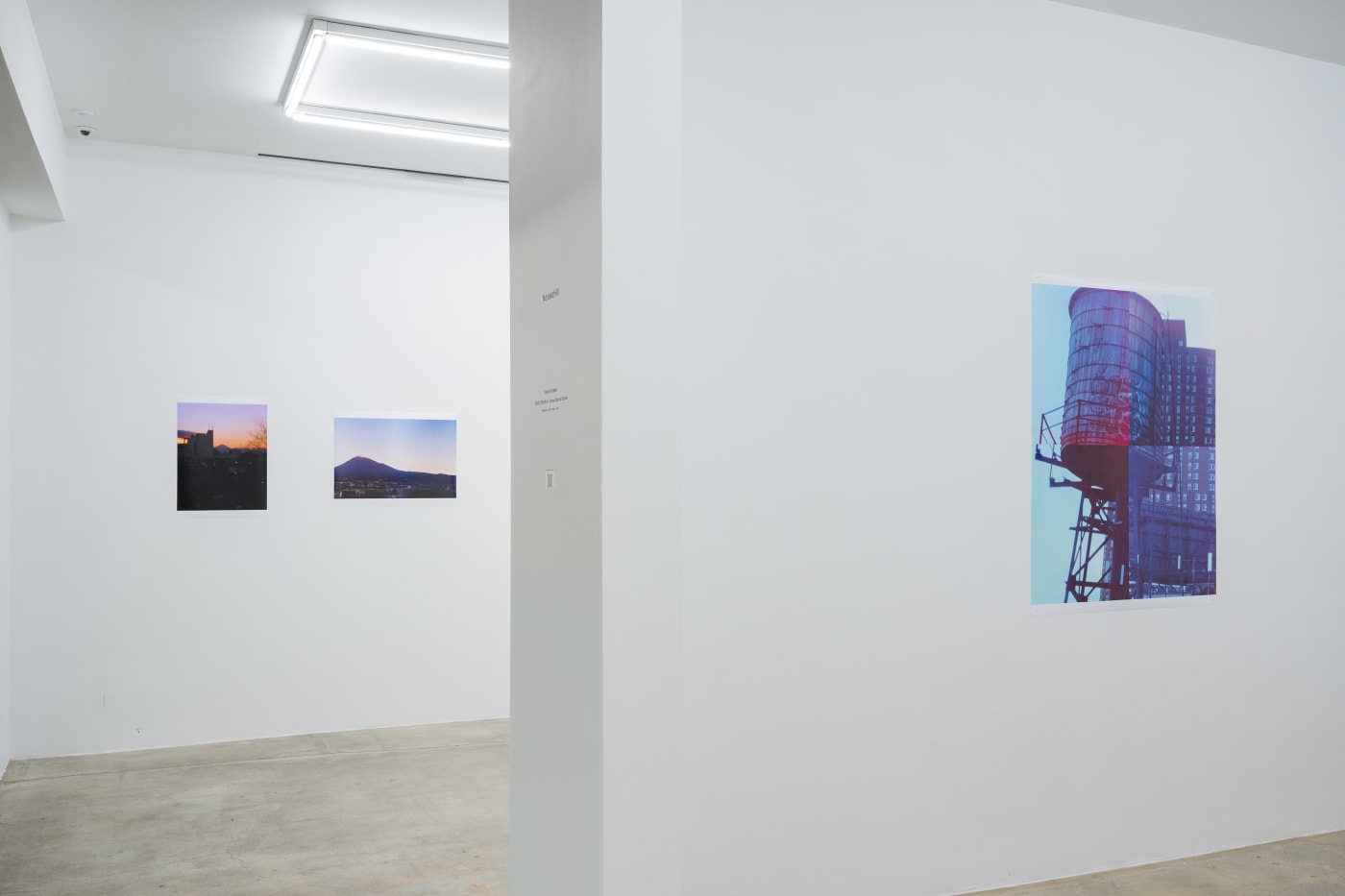 TAKASHI HOMMA