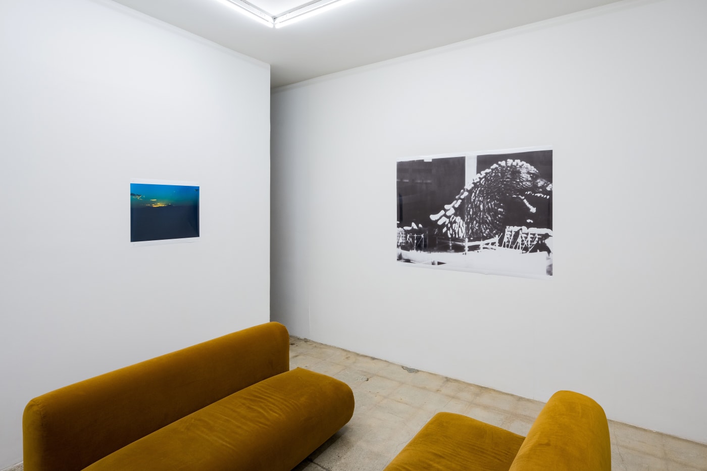 TAKASHI HOMMA