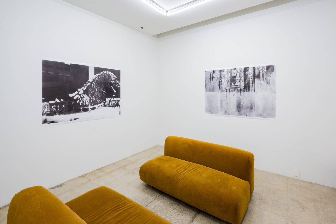 TAKASHI HOMMA