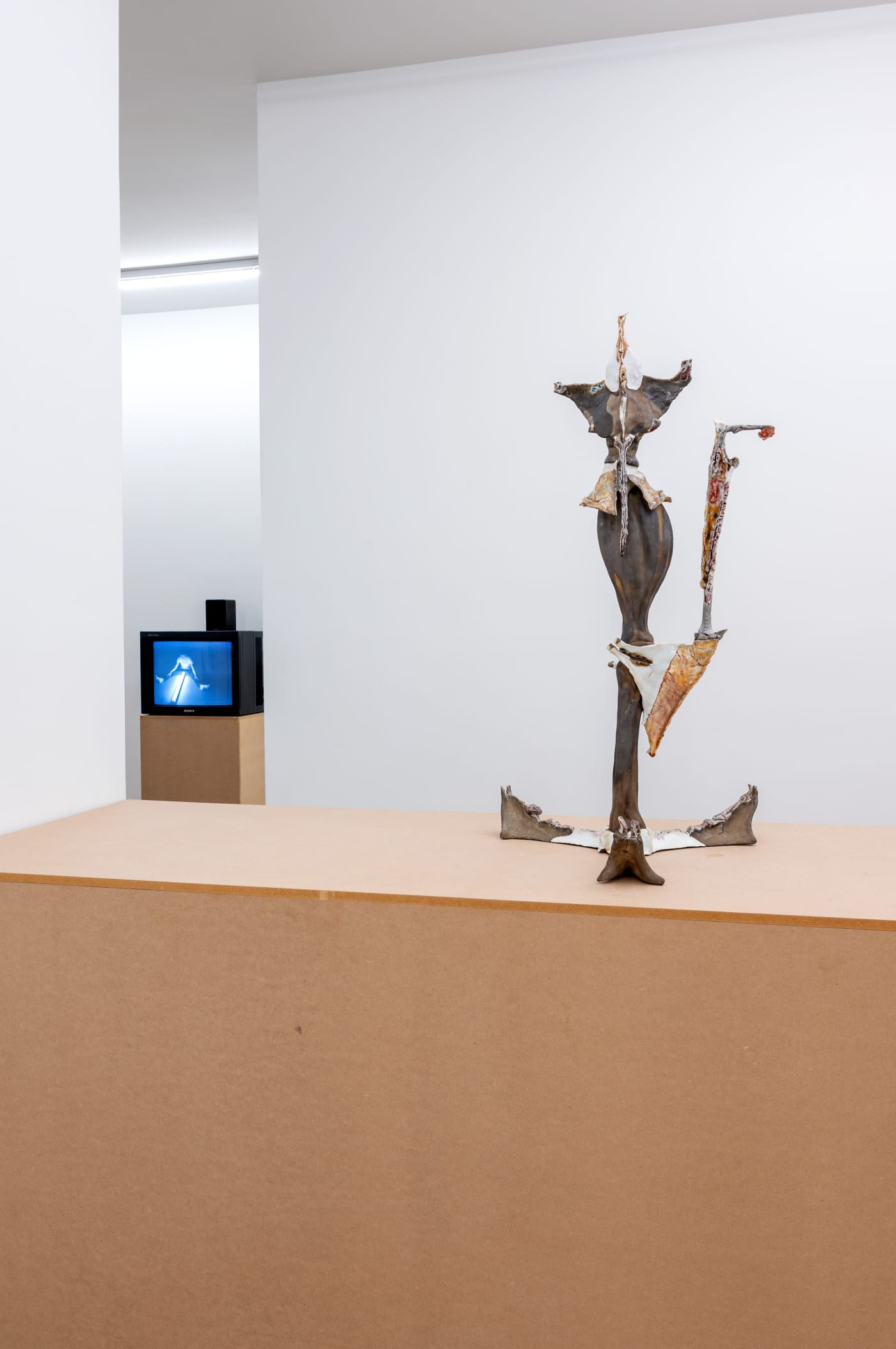 KENTARO KAWABATA / BRUCE NAUMAN