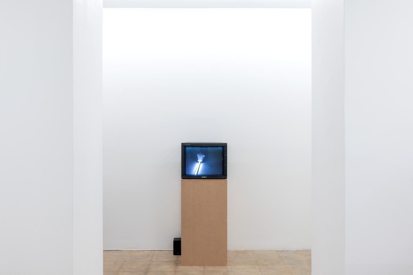 KENTARO KAWABATA / BRUCE NAUMAN