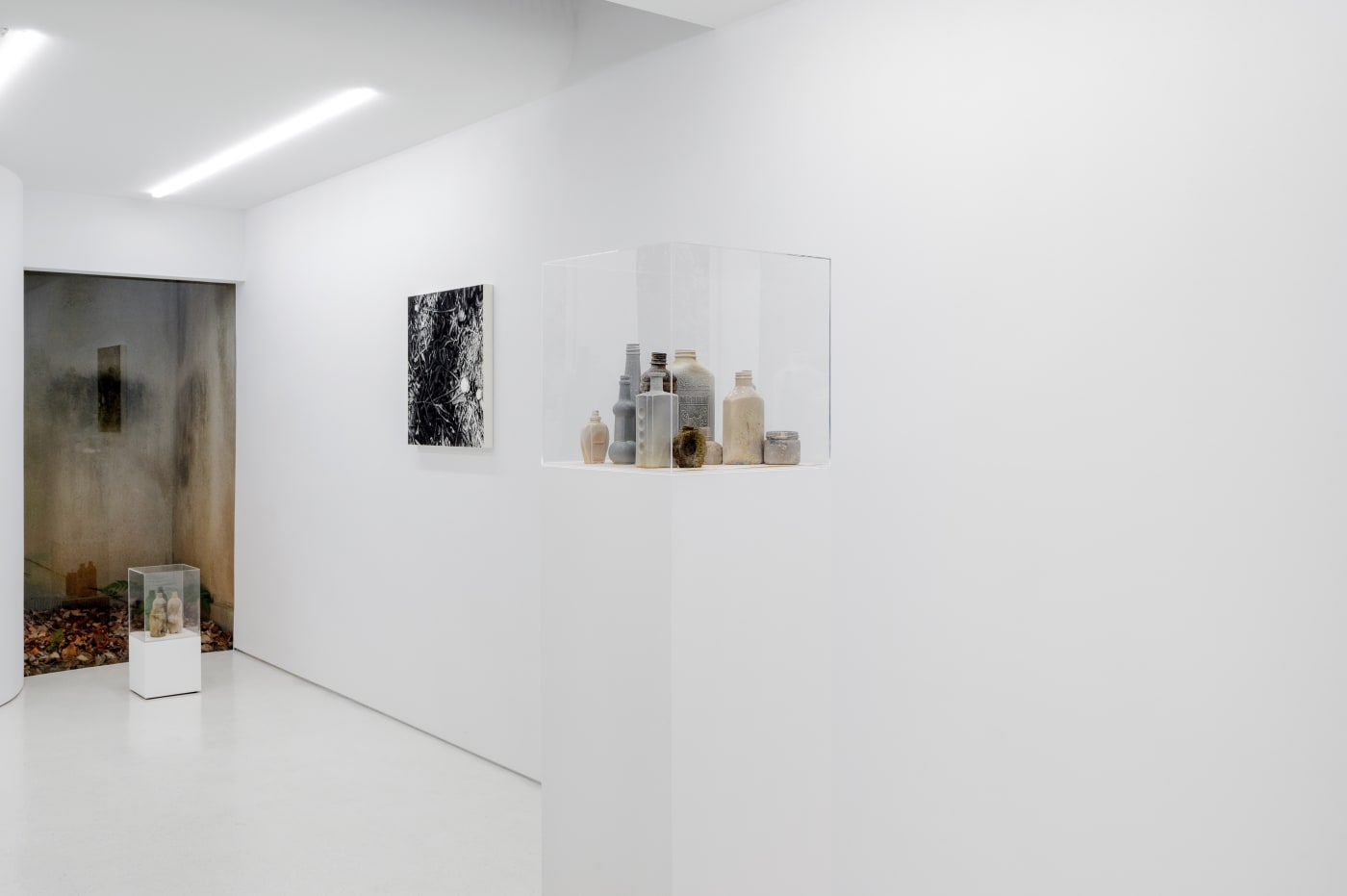 TAKESHI HONDA • TOMOKO OBANA