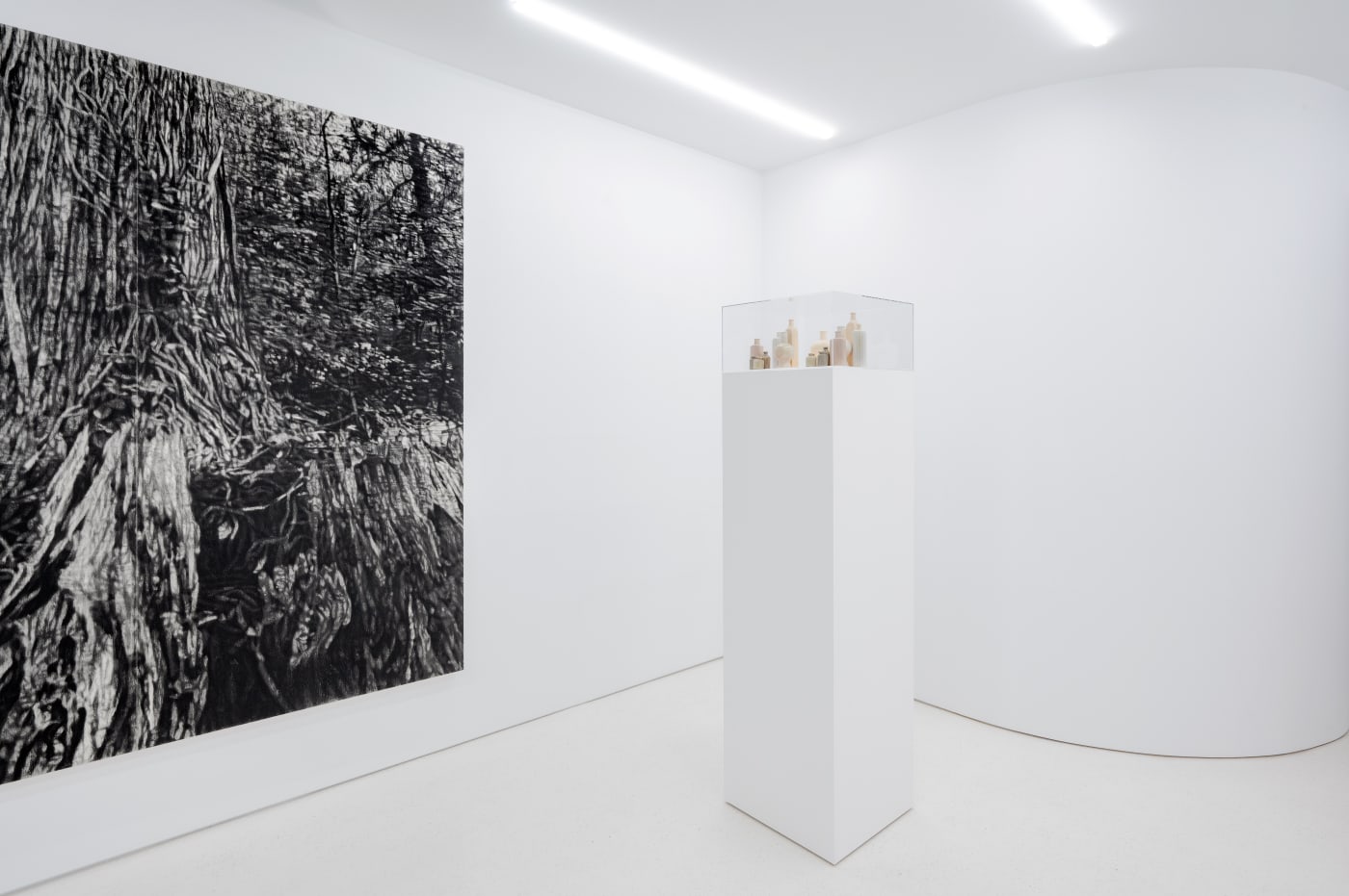 TAKESHI HONDA • TOMOKO OBANA