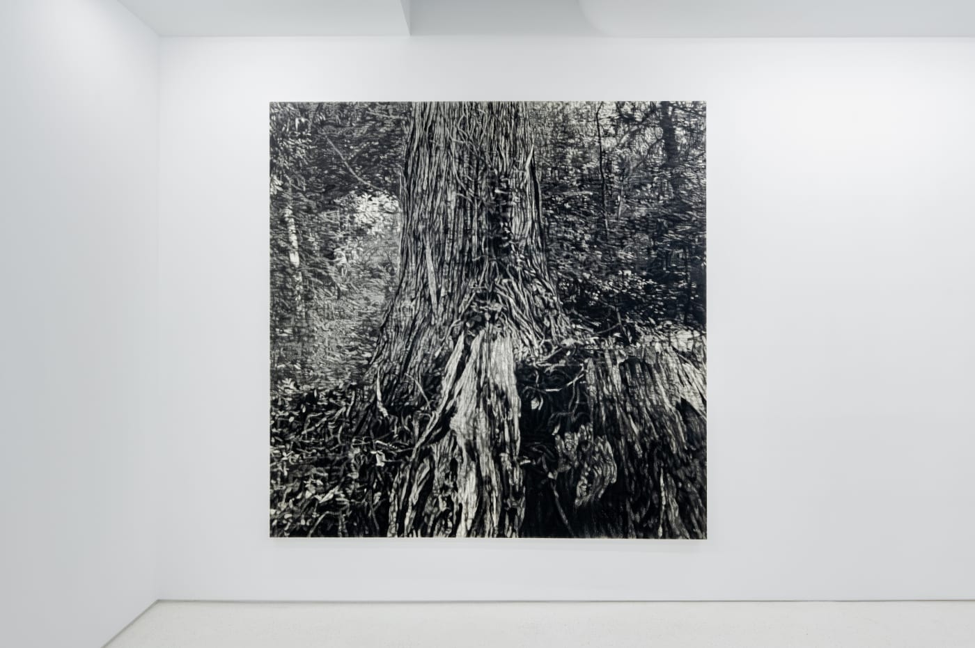 TAKESHI HONDA • TOMOKO OBANA