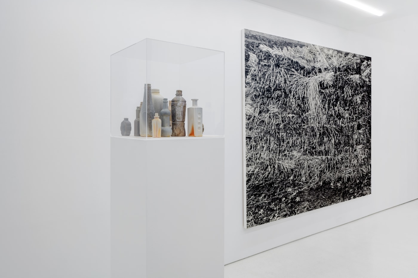 TAKESHI HONDA • TOMOKO OBANA