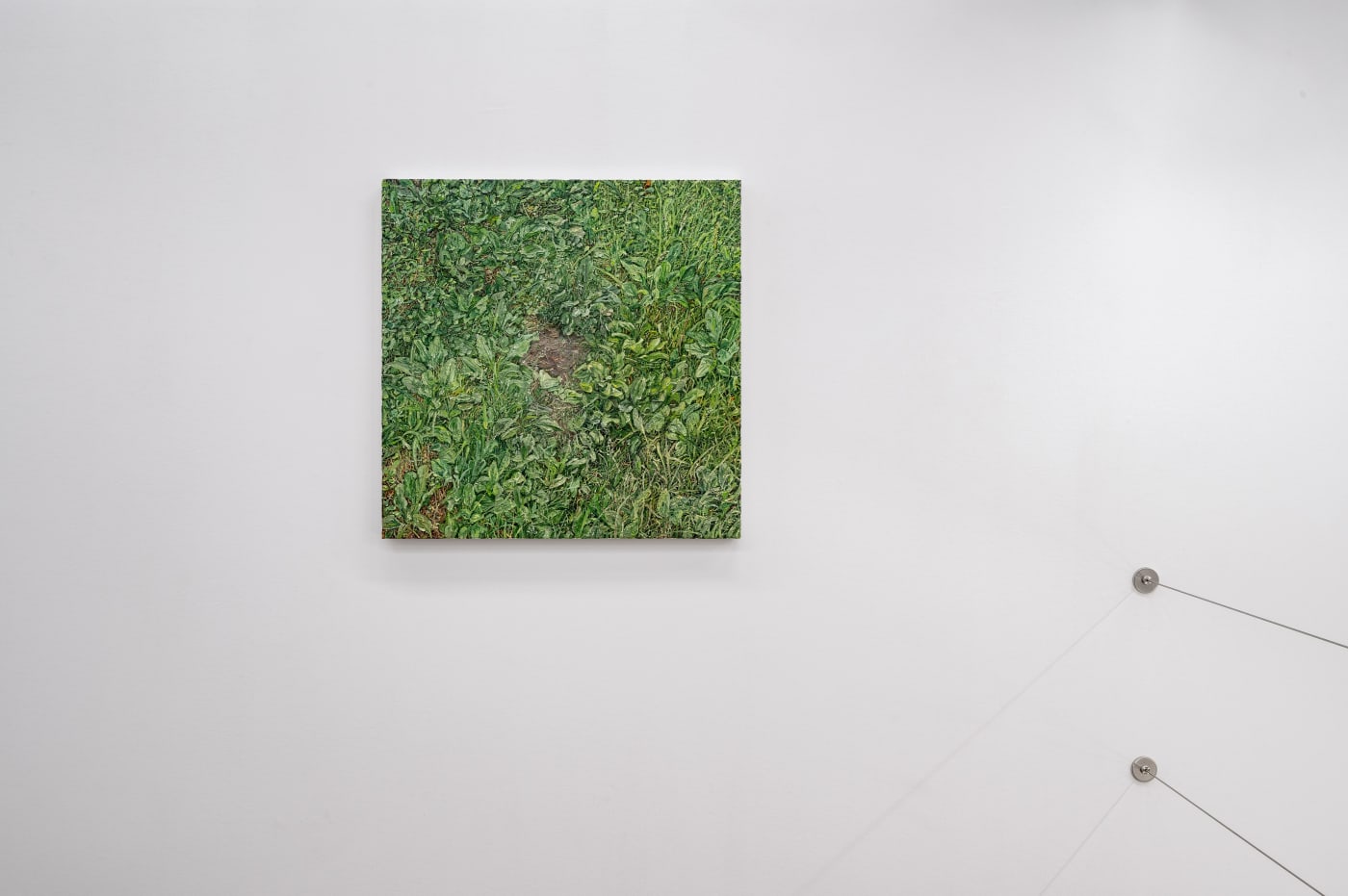 TAKESHI HONDA • TOMOKO OBANA