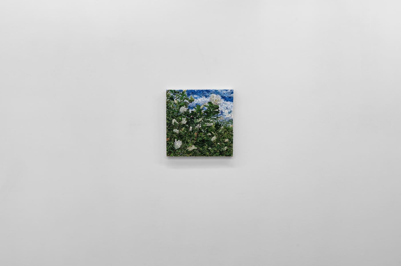 TAKESHI HONDA • TOMOKO OBANA
