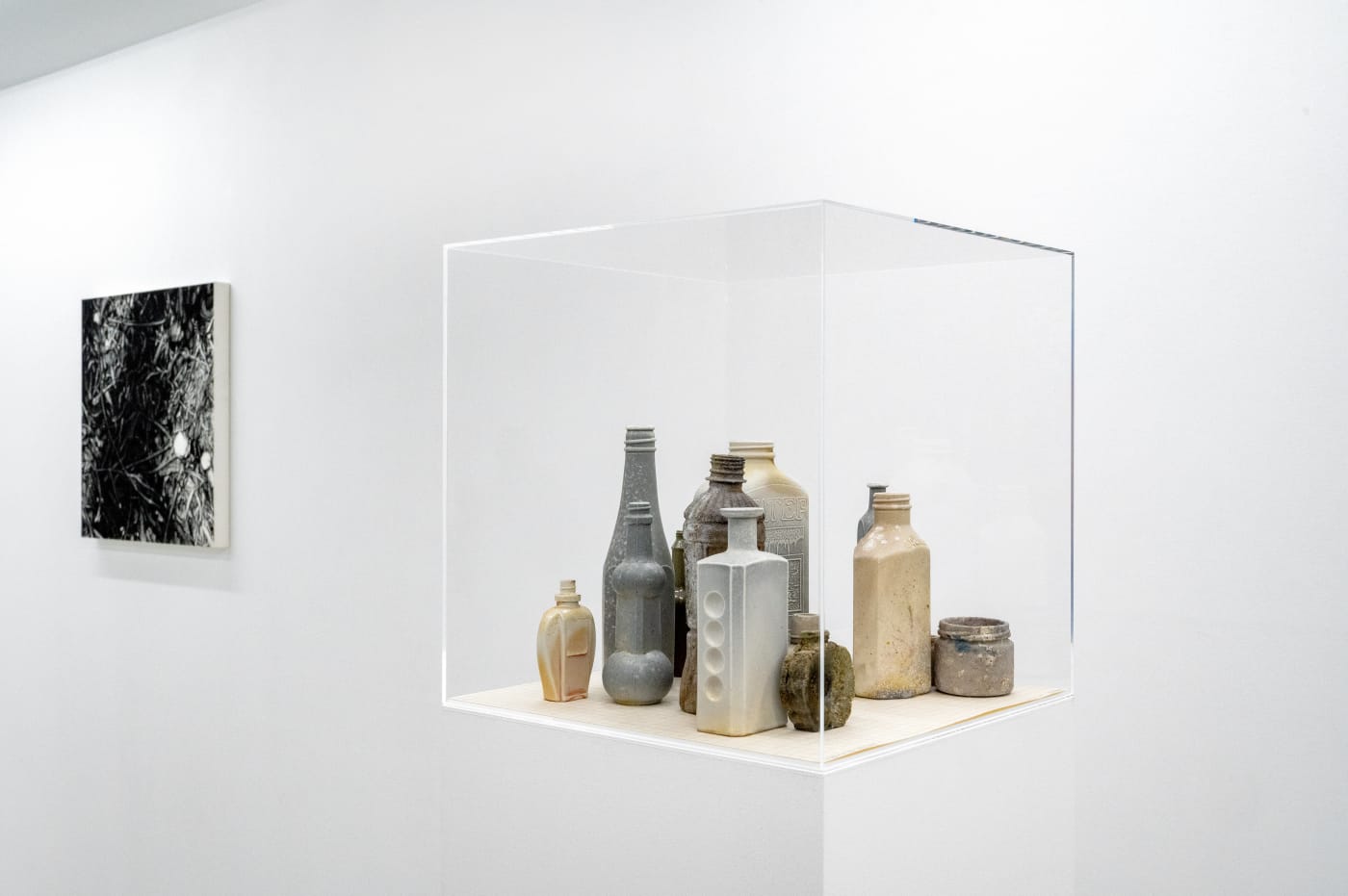 TAKESHI HONDA • TOMOKO OBANA