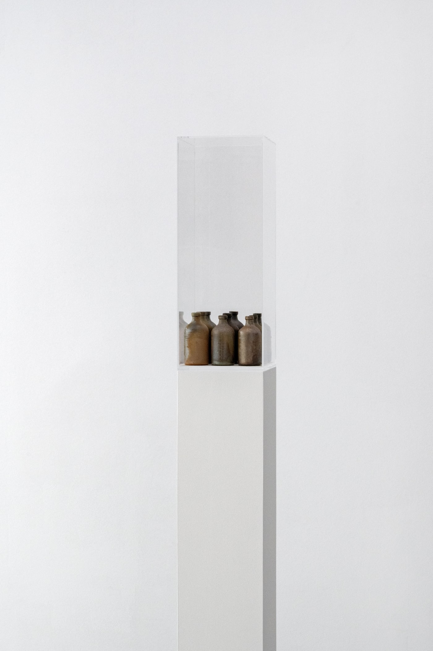 TAKESHI HONDA • TOMOKO OBANA