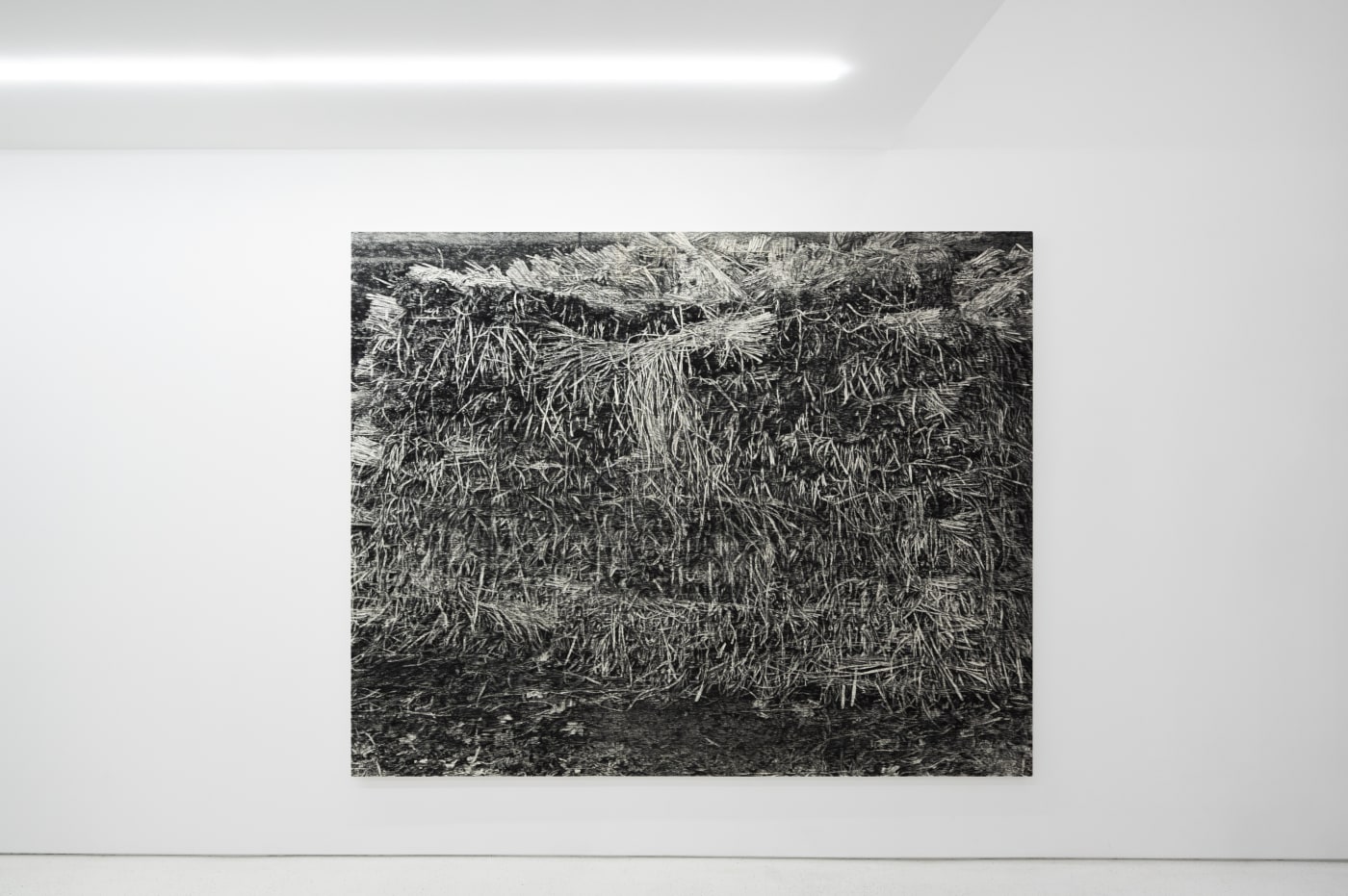 TAKESHI HONDA • TOMOKO OBANA