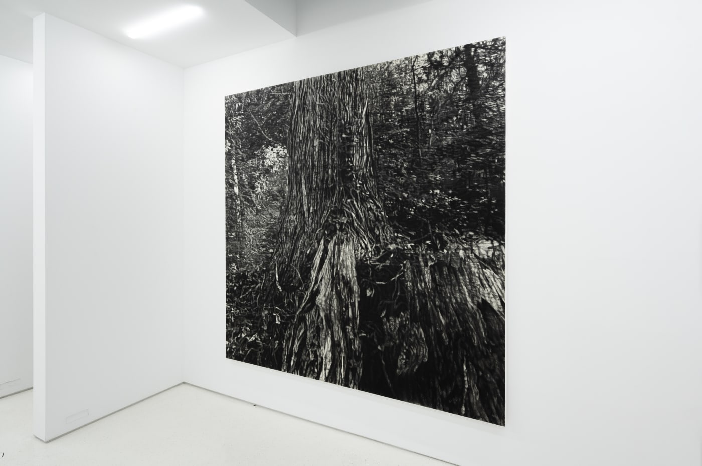 TAKESHI HONDA • TOMOKO OBANA