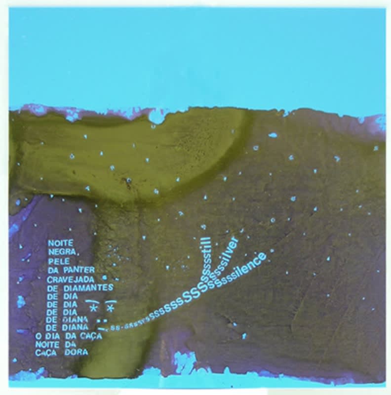 Pele de Pantera (Panther Skin), 2008