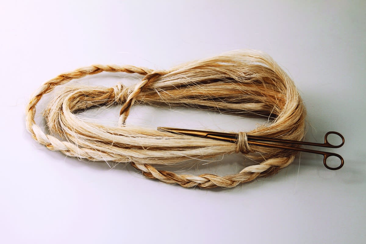 Rapunzel, 2016