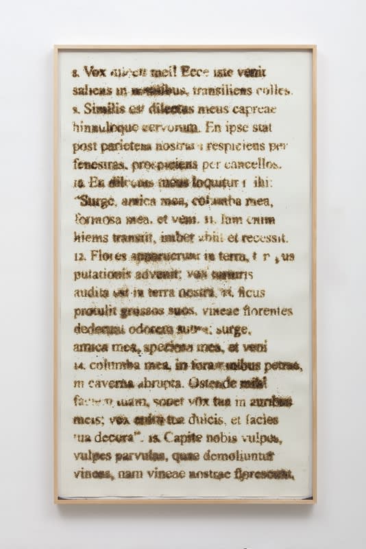 Cantares (Canticum Canticorum), 2016