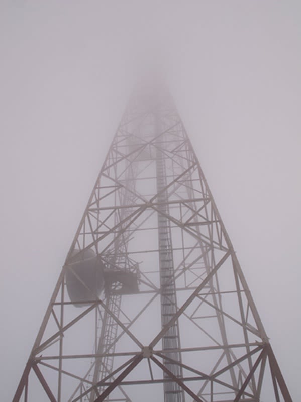 Torre (Tower), 2013