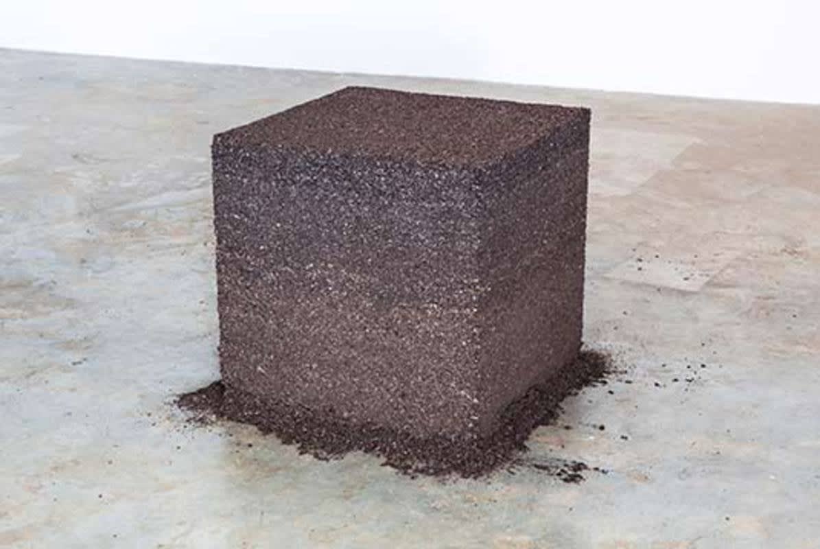 José Bento - Madeira, 2013