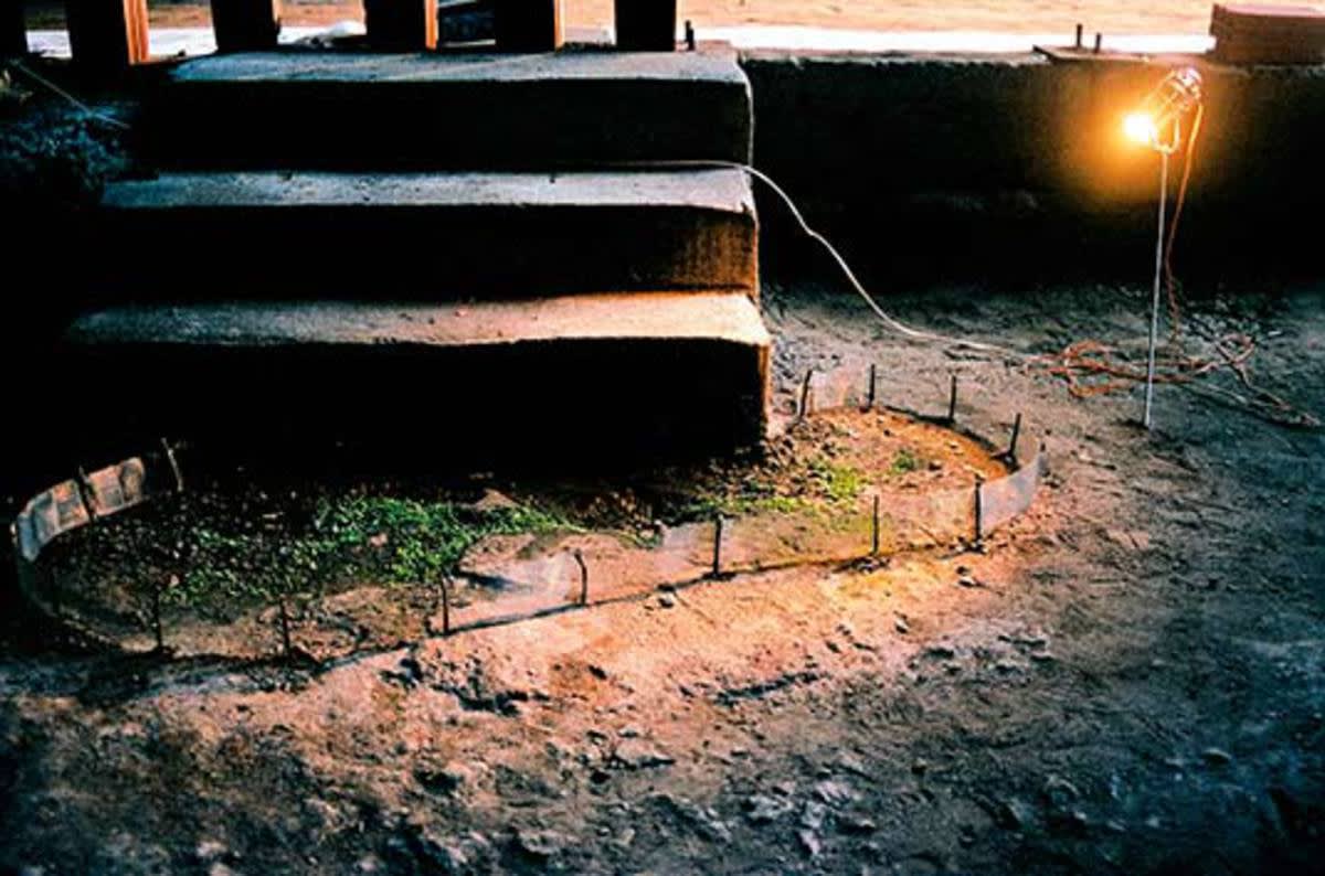 Raquel Garbelotti - O jardim, 2002