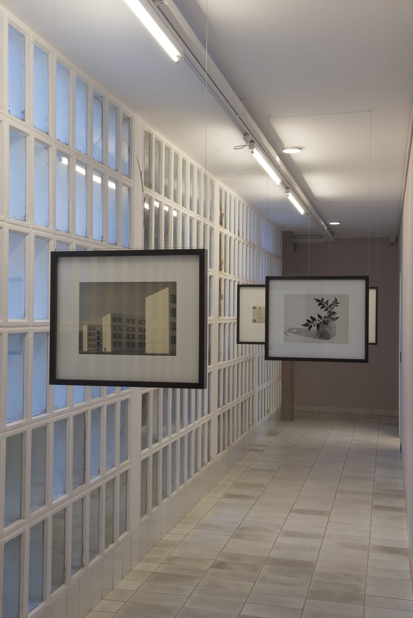 vista geral da exposição "Fotografia Moderna 1940 - 1960", 2019, Luciana Brito Galeria + Isabel Amado exhibition view of "Fotografia Moderna 1940 - 1960", 2019, Luciana Brito Galeria + Isabel Amado