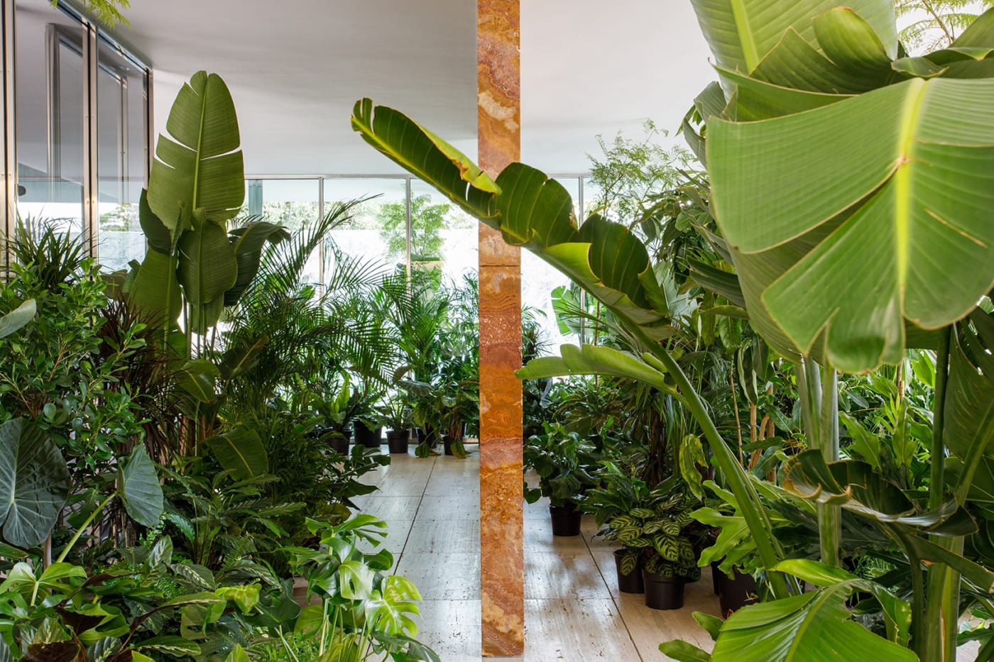 Caio Reisewitz: Suspendre el Cel, Fundació Mies Van der Rohe, Barcelona, Spain, 2024