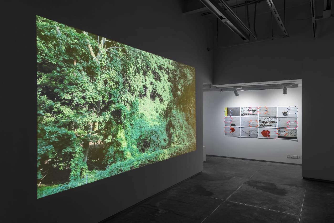 Moyra Davey | Bring My Garters / Do Nothing | Experimenter – Hindustan Road | 10 November, 2018 - 05 January, 2019