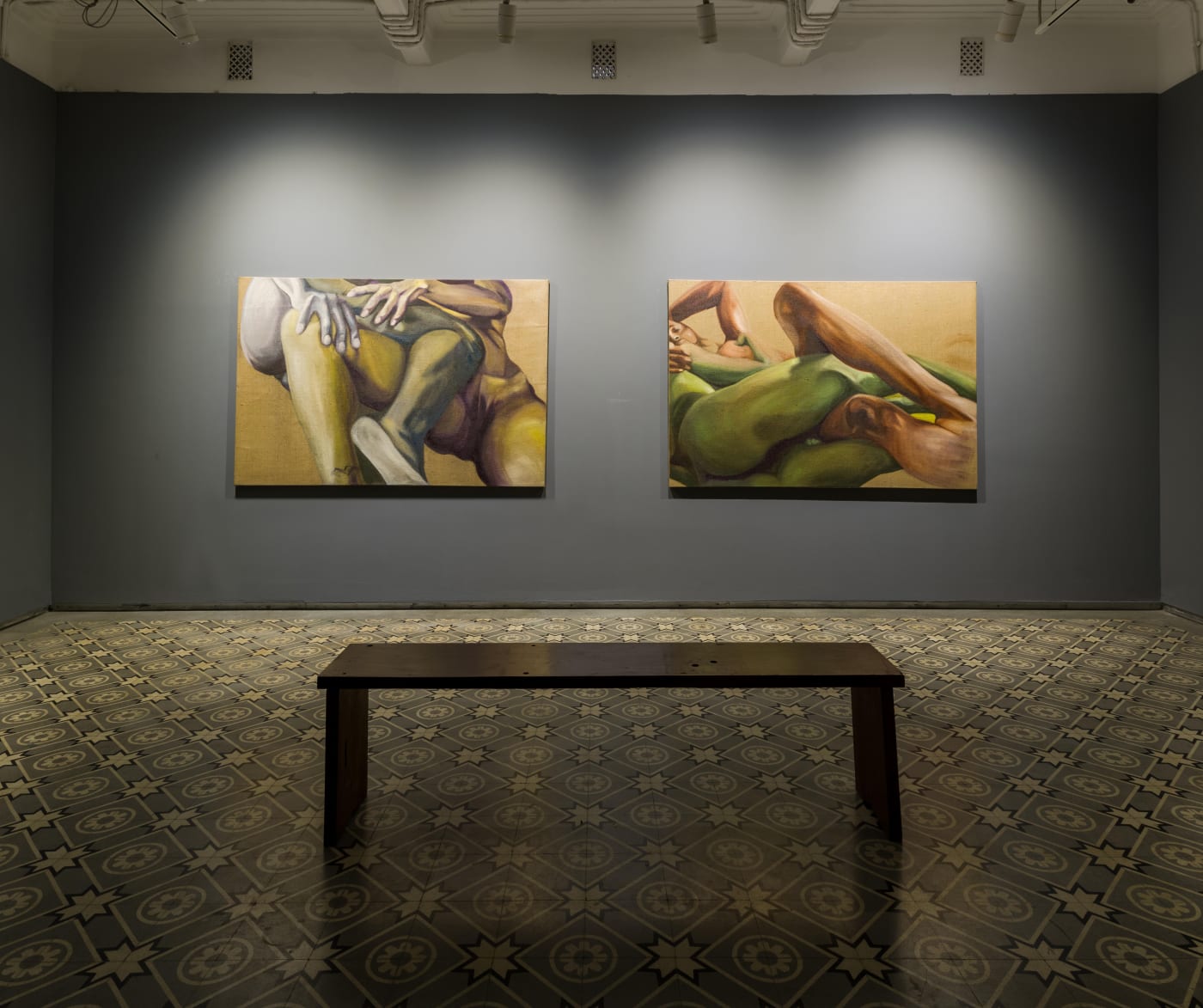 Bhasha Chakrabarti | Skin to Skin