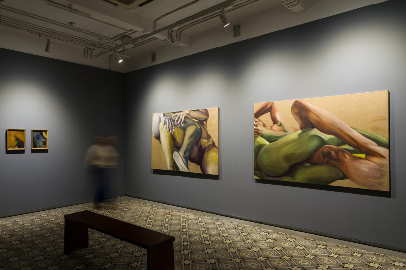 Bhasha Chakrabarti | Skin to Skin