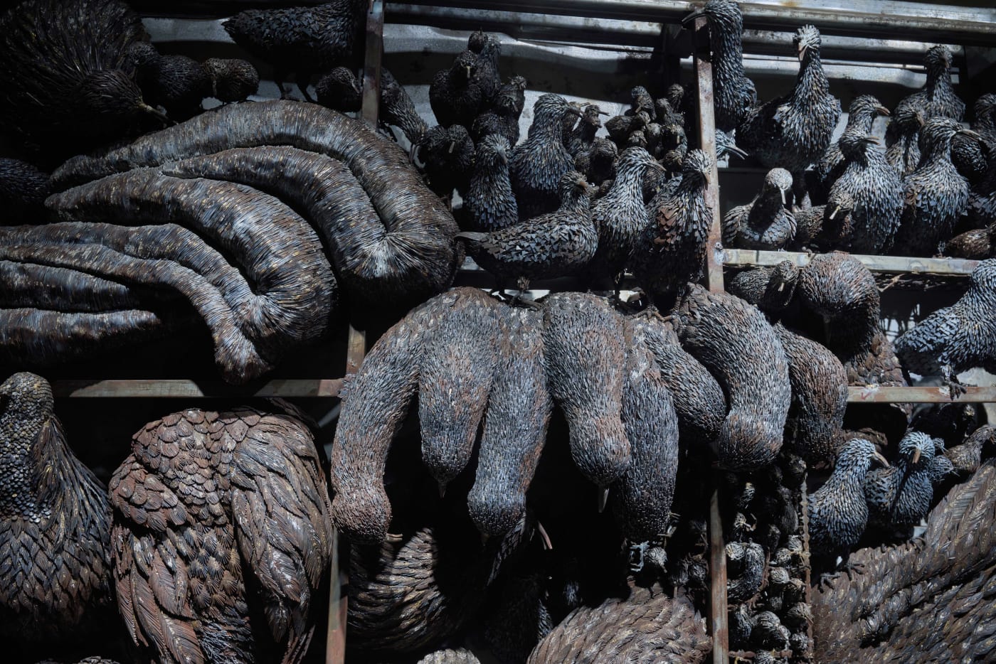 Sakshi Gupta | If The Seas Catch Fire