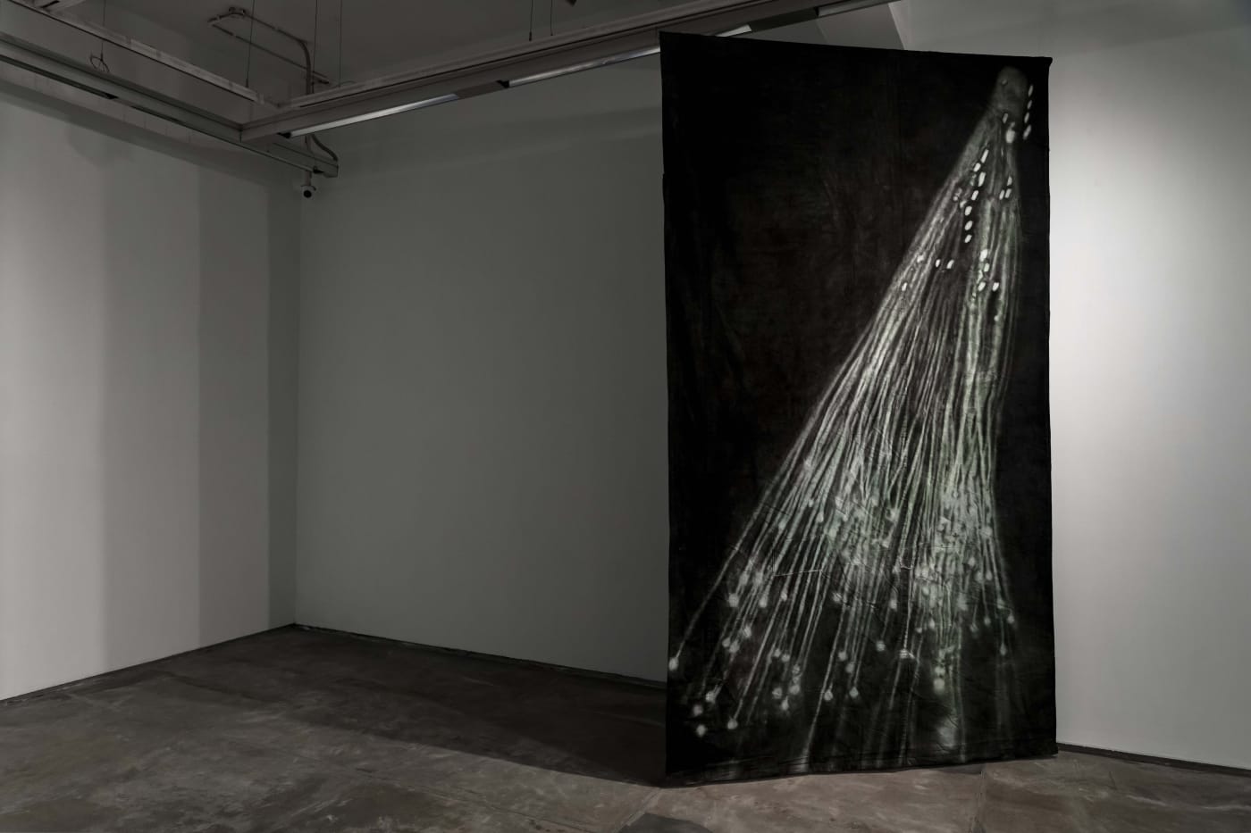 Julien Segard | Dark Was The Night