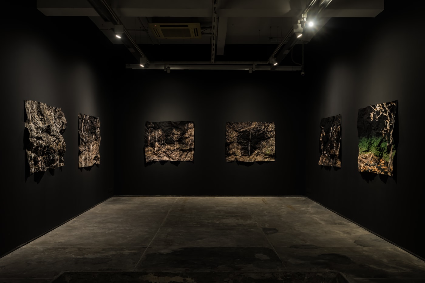 Tenzing Dakpa | Weather Report