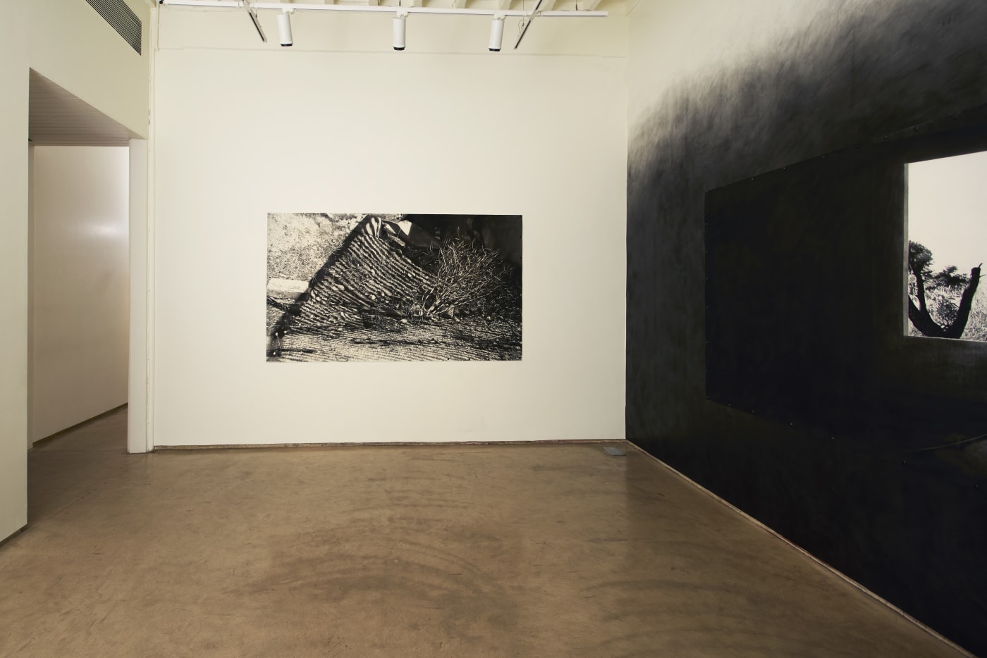 Julien Segard | Dancing at the Edge of Memory
