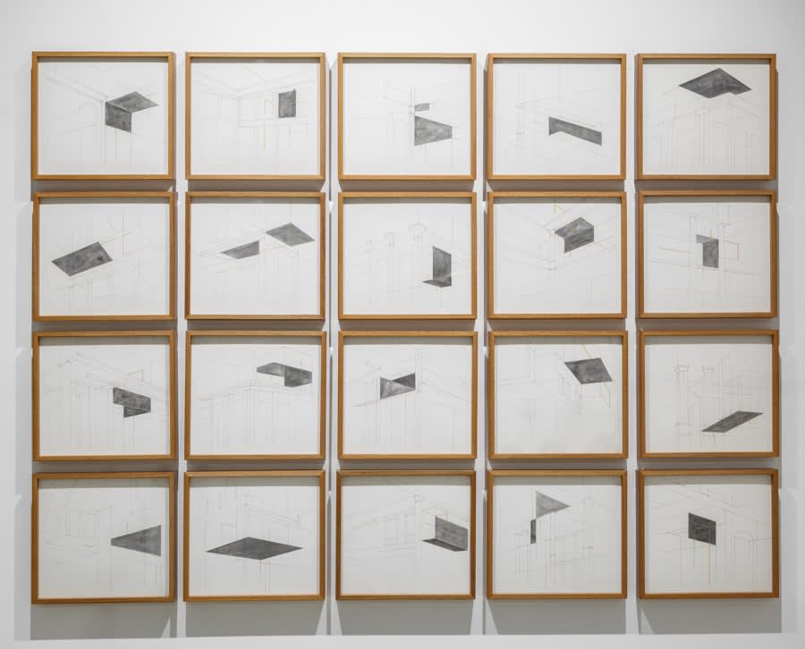 Rathin Barman | The Thinking Forest is Not a Metaphor