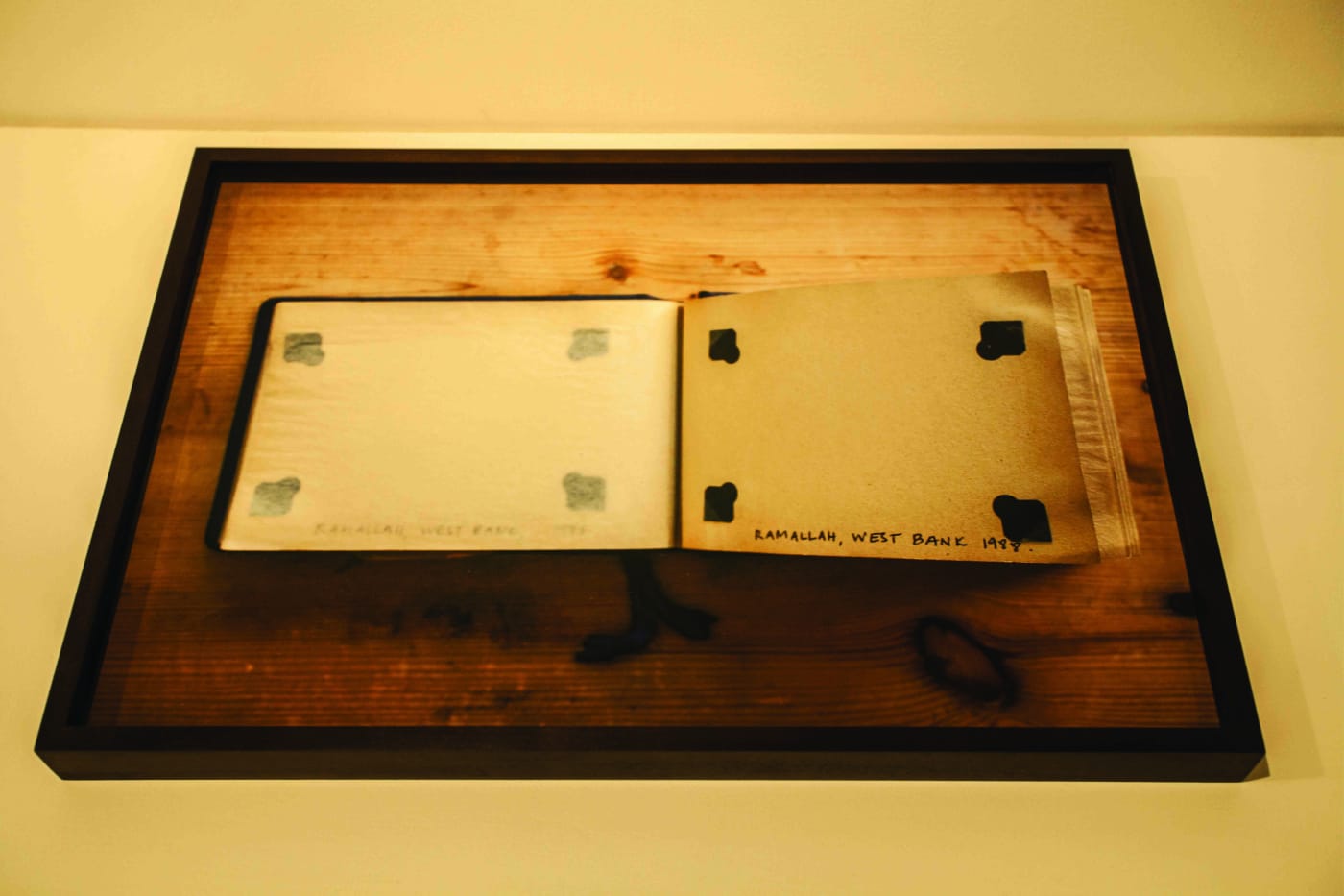 Bani Abidi | Then It Was Moulded Anew