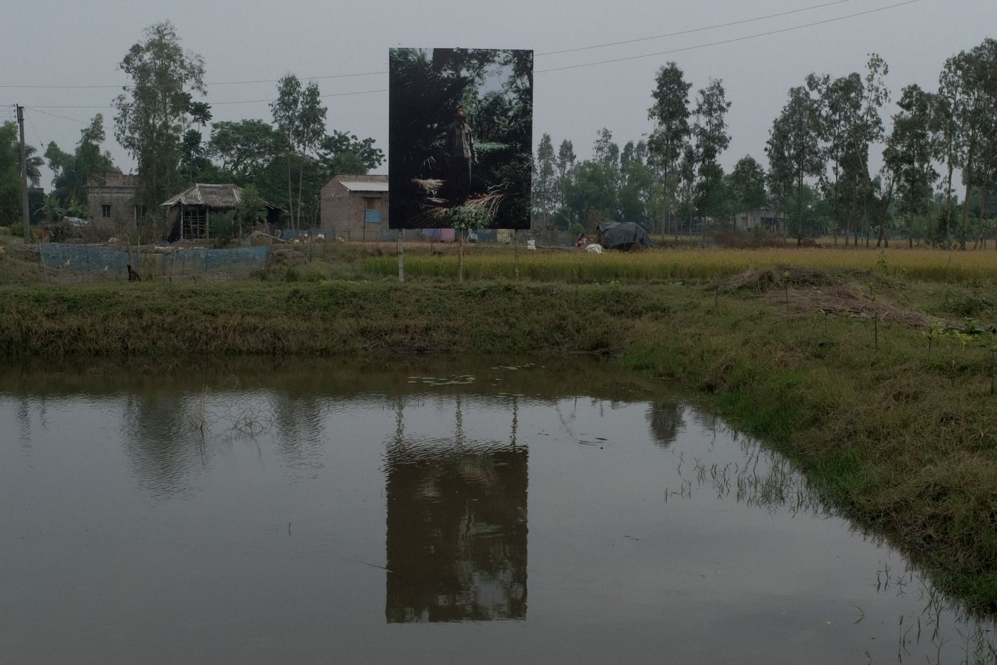 Soumya Sankar Bose | Where The Birds Never Sing
