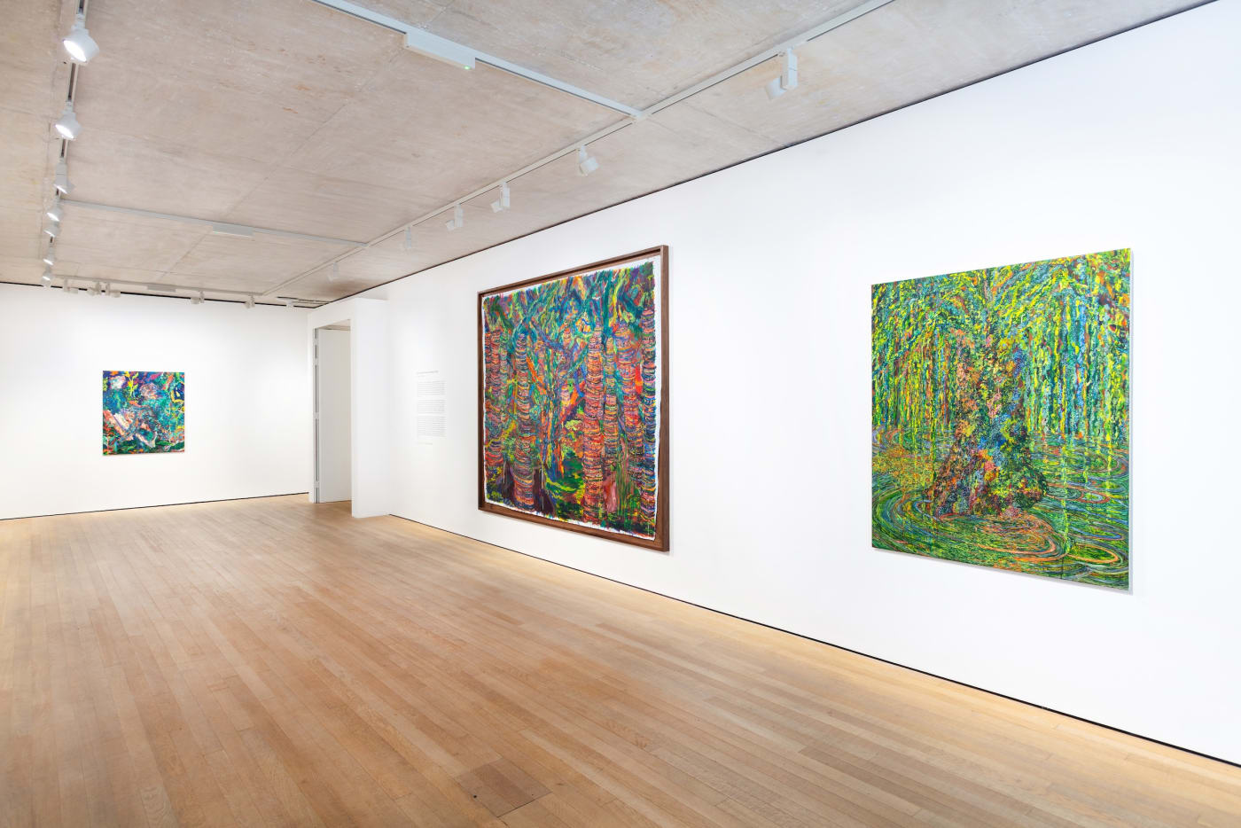 Kathryn Maple: Beneath the Swamp Cypress