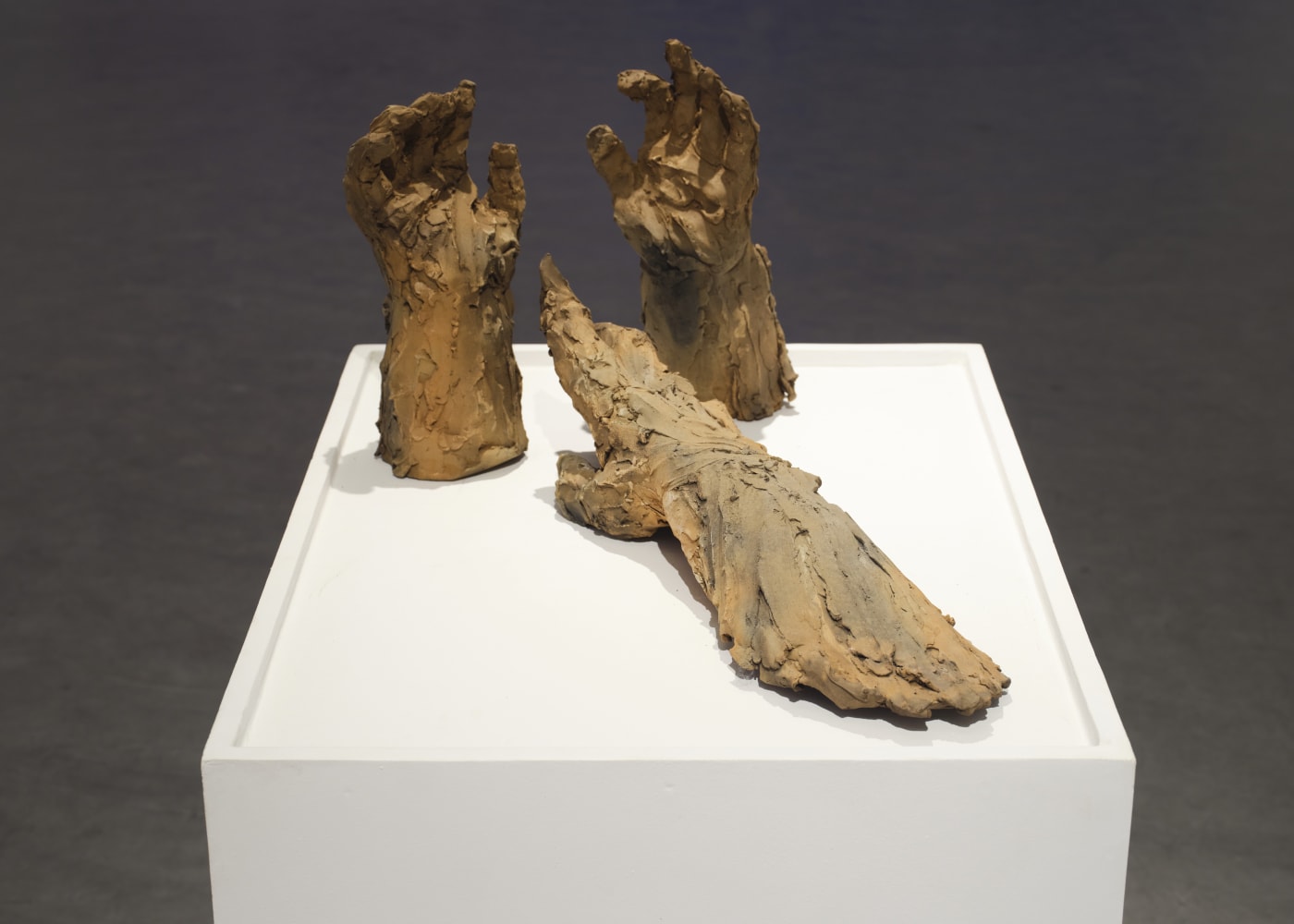 Rebekka Macht - Fragile Wings of Motherhood