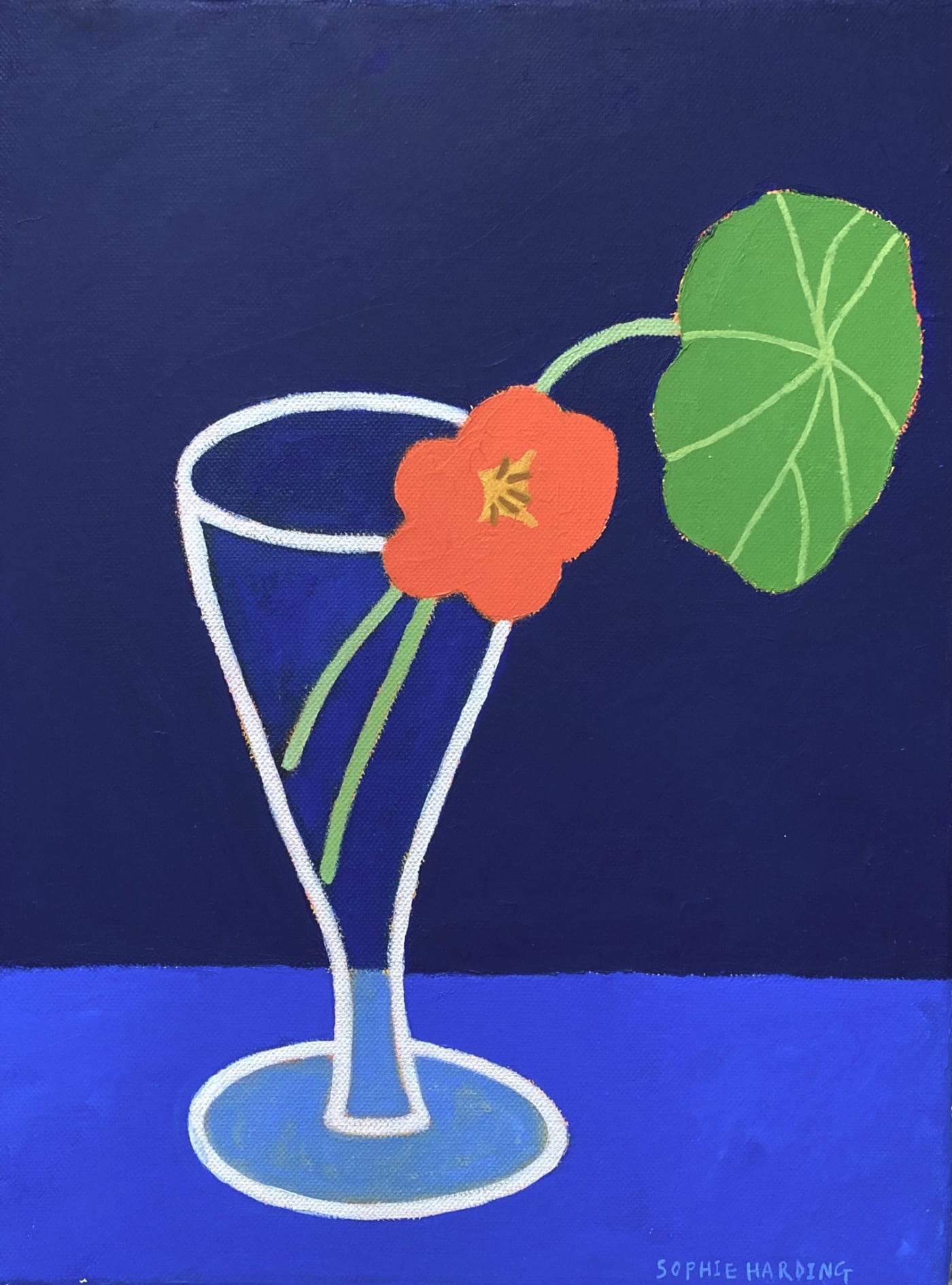 Sophie Harding, Courtyard Nasturtium
