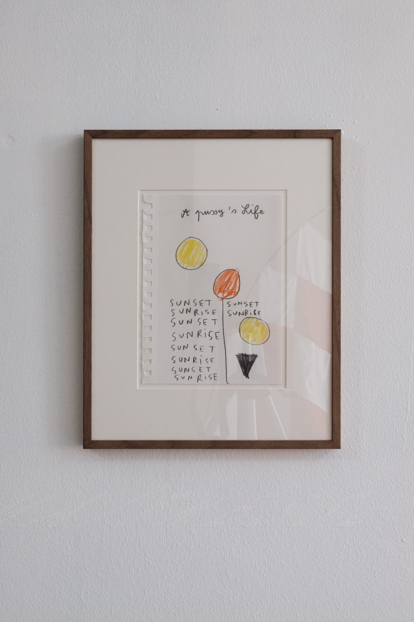 Anne-Lise Coste, A Pussy's Life, 2013.