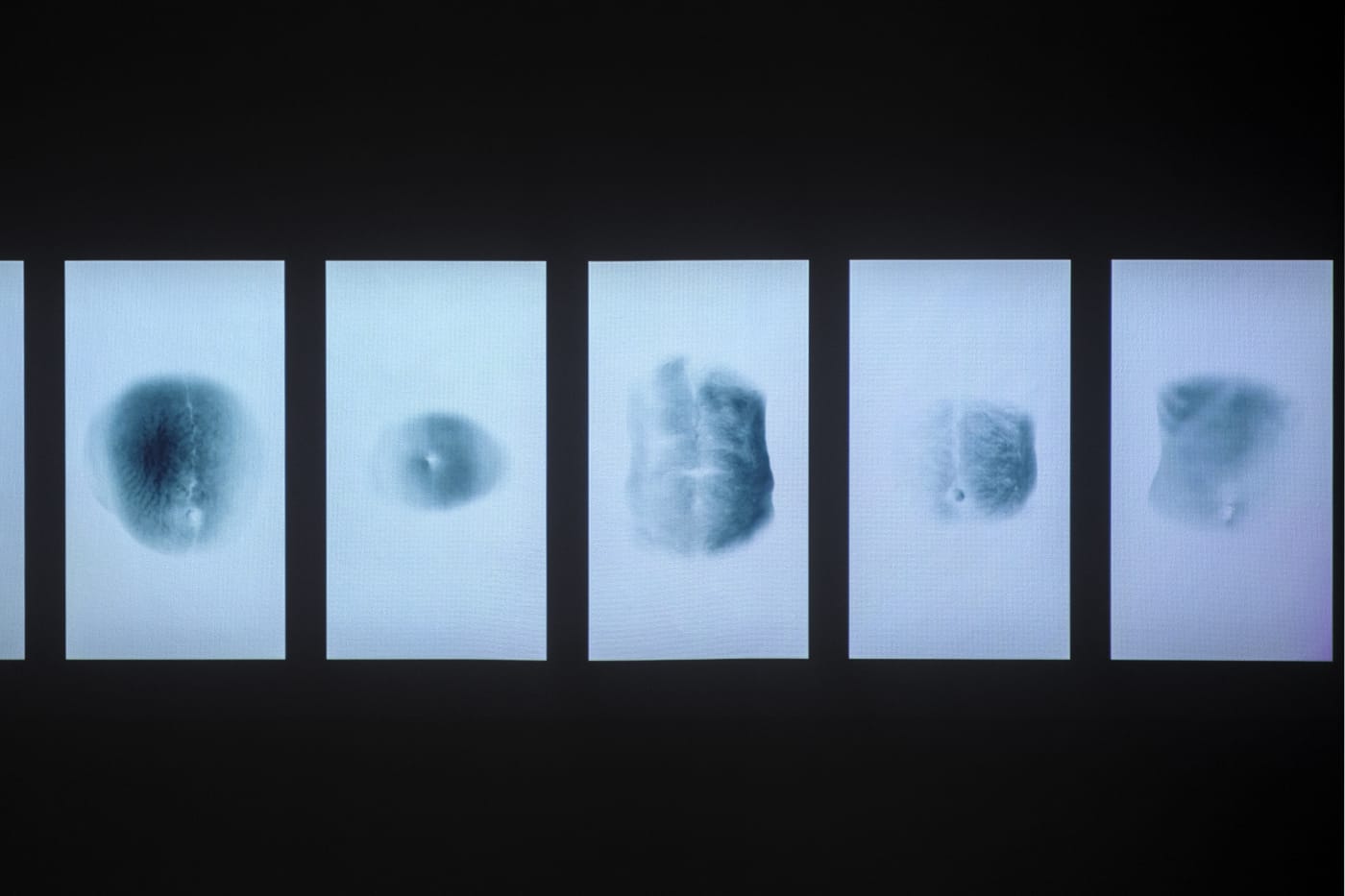 The Coincidence of Time and Being: Ranbir Kaleka and Sumakshi Singh curated by Priya Pall