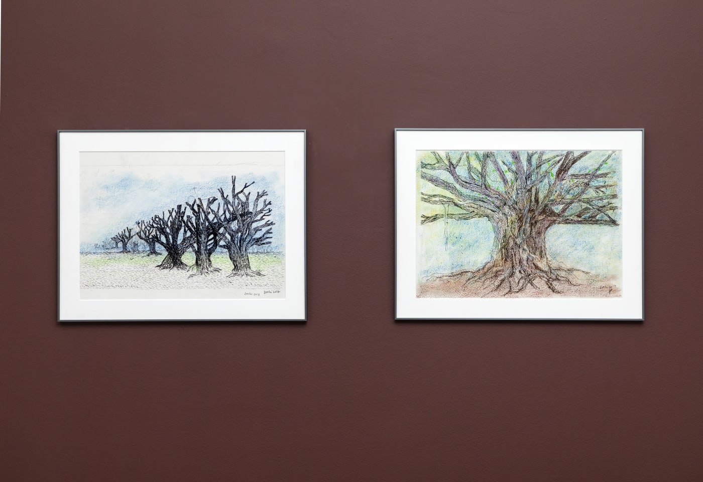 Blueprints of Illusions | Balkrishna Doshi
