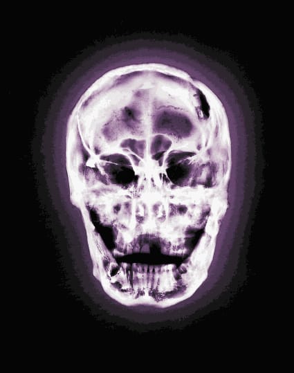 Alexander de Cadenet | Retrospective Book Launch x King Richard III Skull Portrait