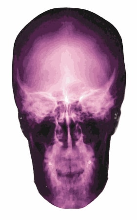 Alexander de Cadenet | Retrospective Book Launch x King Richard III Skull Portrait