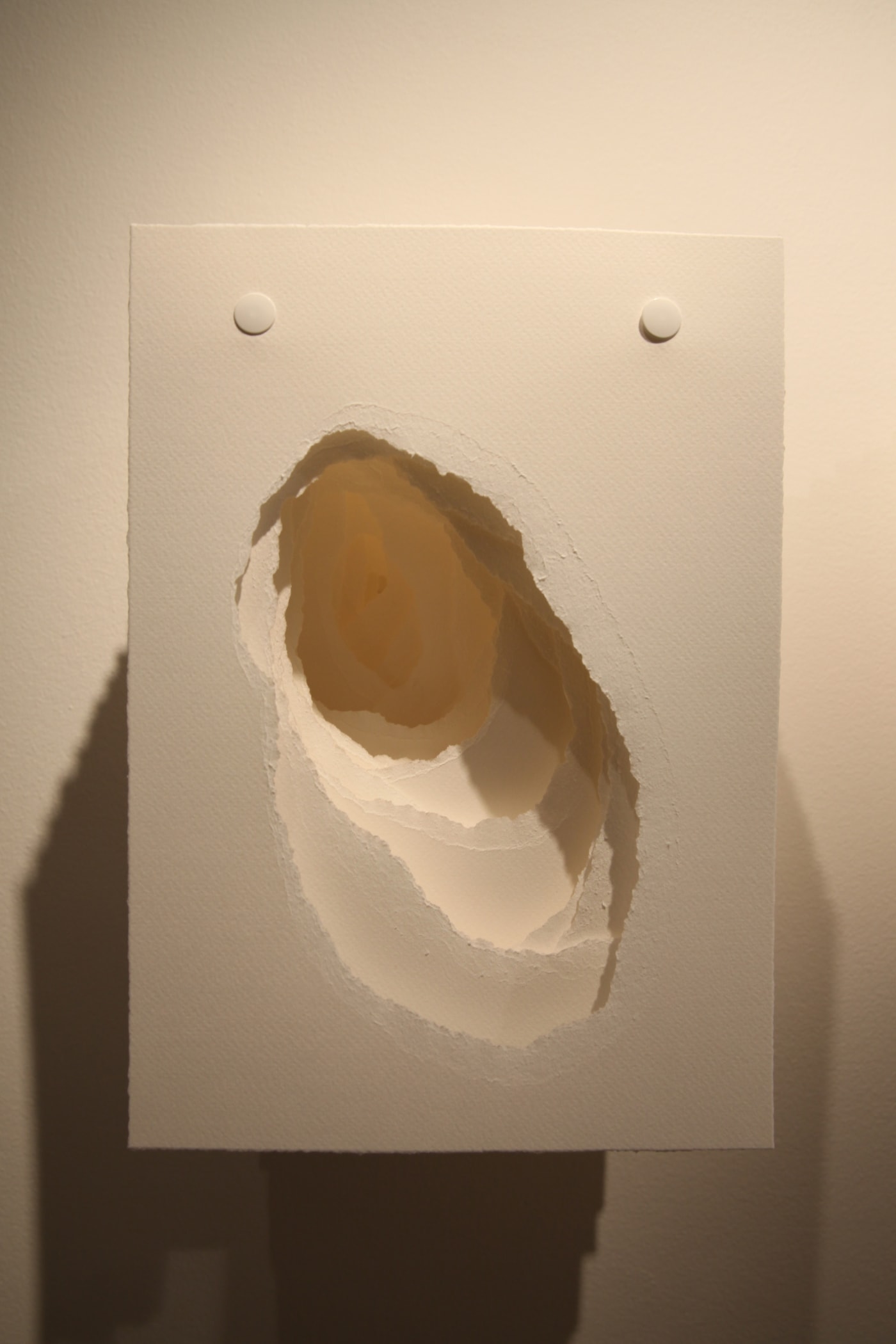 Angela Glajcar paper sculpture hanging at Andipa Gallery