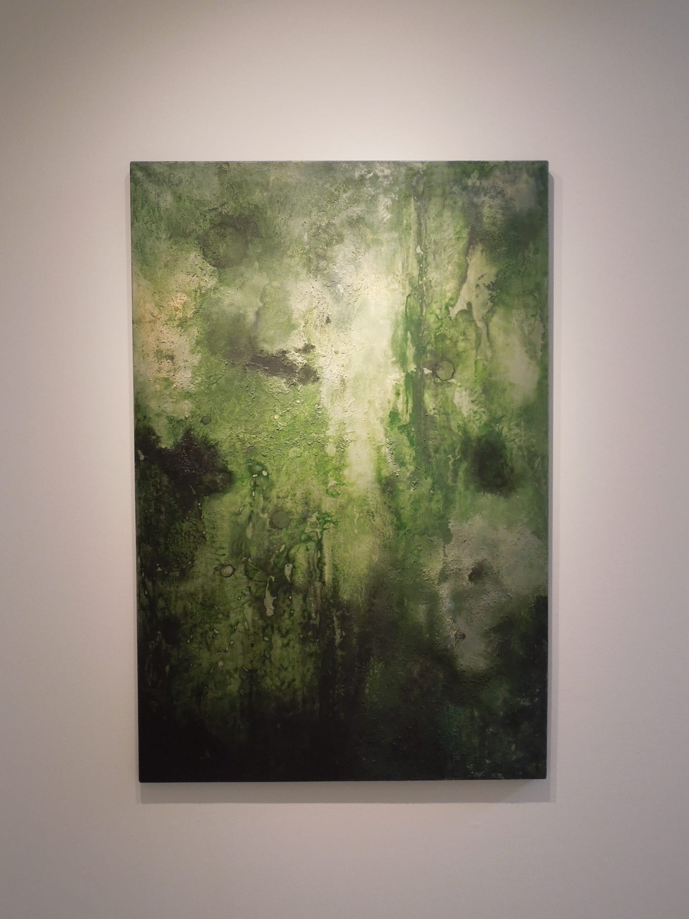 Justin Sidney canvases hanging in gallery