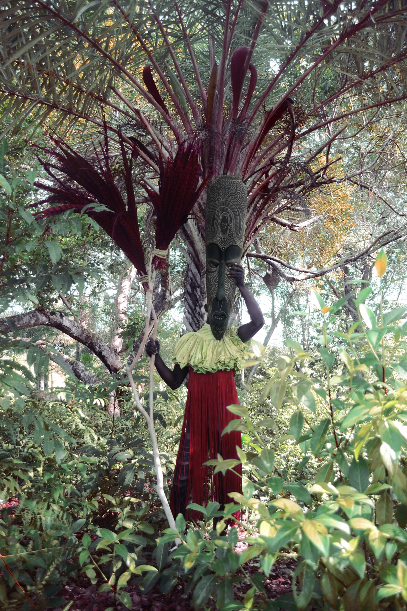 Lisandro Suriel - The Whispering Palm