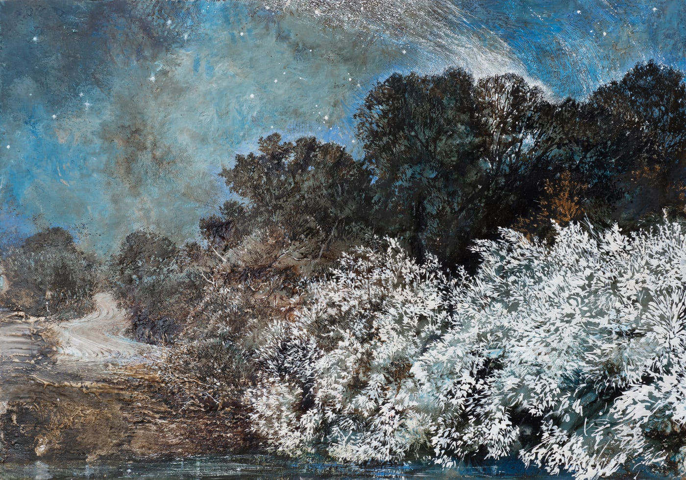 Night wood, stars