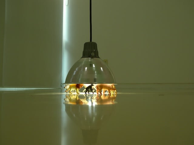 Plastic molded animals placed in a circle with a lamp hovering above their bodies.
