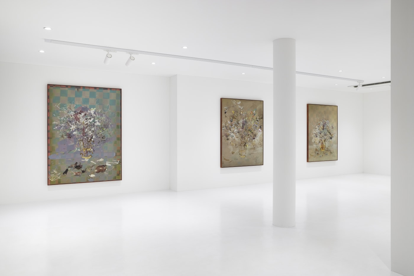 Petra Cortright